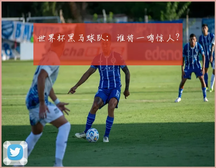世界杯黑马球队：谁将一鸣惊人？